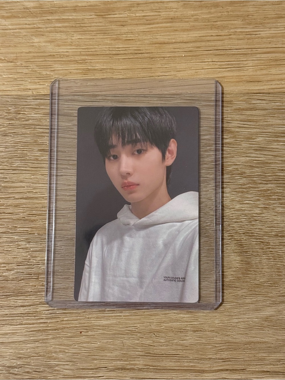 ENHYPEN Sunghoon Official Light Stick Photocard PC Kpop